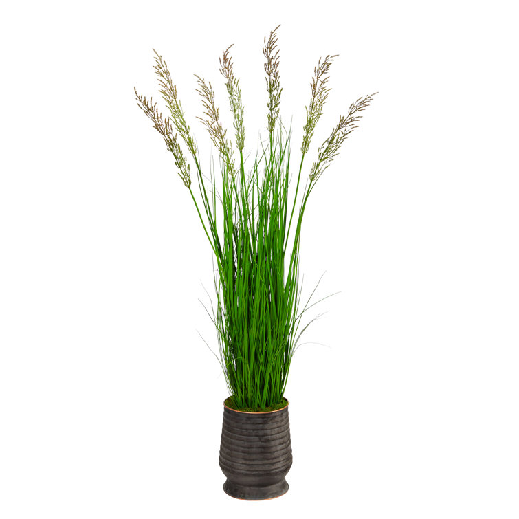 Primrue 62" Artificial Wheat Grass in Planter Wayfair
